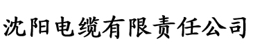 西西影院电缆厂logo